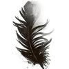 Illustration du profil de O2_pat