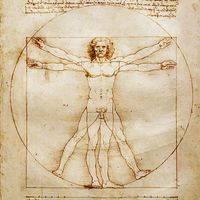 Illustration du profil de harelde