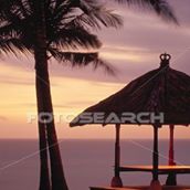 Illustration du profil de caro 24