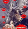 Illustration du profil de dorothee_35