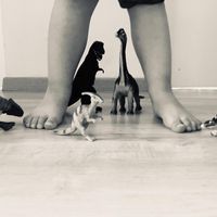 Illustration du profil de Cocoline