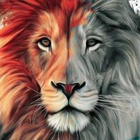 Illustration du profil de elo.mz