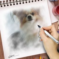 Illustration du profil de zepp