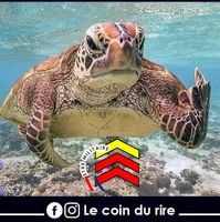 Illustration du profil de david_153
