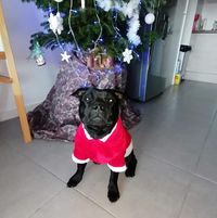 Illustration du profil de jocelyn74