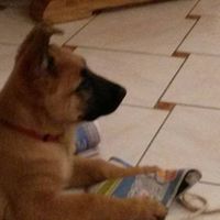 Illustration du profil de Meme0764