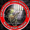 Illustration du profil de kikifait