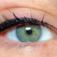 Illustration du profil de paquerette95