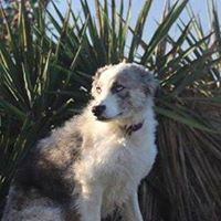 Illustration du profil de Massamba12