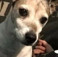 Illustration du profil de mickael_sana