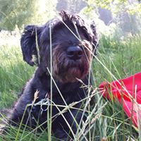 Illustration du profil de Phanou68