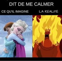 Illustration du profil de tiptimousse