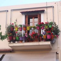 Illustration du profil de lily_43