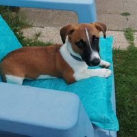 Illustration du profil de Gisou27