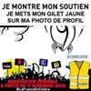 Illustration du profil de Turtle