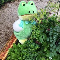 Illustration du profil de Besaco