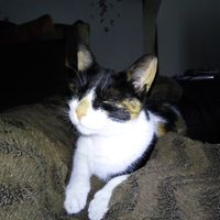 Illustration du profil de Marguite