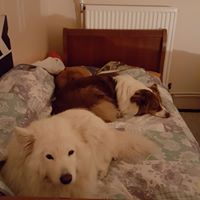 Illustration du profil de Cosette57