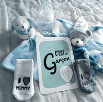 Illustration du profil de cassy_3