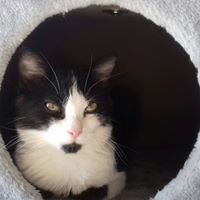 Illustration du profil de Natdu01