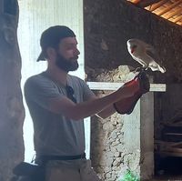 Illustration du profil de gauthier_17