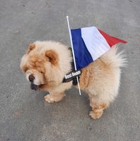 Illustration du profil de steph_181