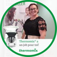 Illustration du profil de thermovane