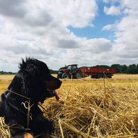 Illustration du profil de nesquick123