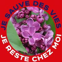 Illustration du profil de Isabellesomon