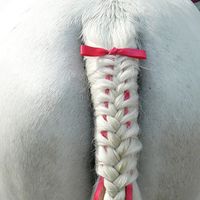 Illustration du profil de miette0734