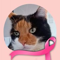 Illustration du profil de annabelle_144