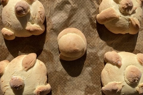 Cliquez pour zoomer ! Pan de muerto – Pain des morts Thermomix par VivieCed