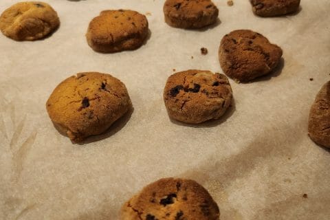 Cliquez pour zoomer ! Sablés aux raisins secs et au rhum Thermomix par soph933