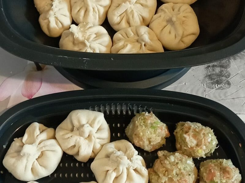 Cliquez pour zoomer ! Wang mandu – petits pains farcis à la vapeur Thermomix par jennymcc
