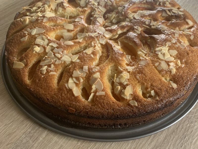 Gateau Moelleux Aux Abricots Au Thermomix Cookomix
