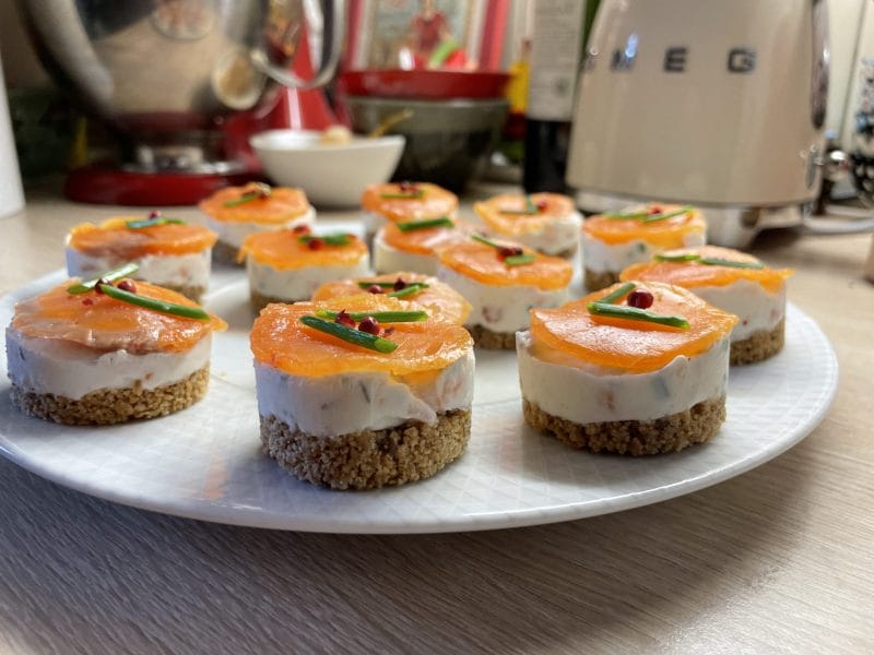 Cliquez pour zoomer ! Cheesecake au saumon sans cuisson Thermomix par laurent_259