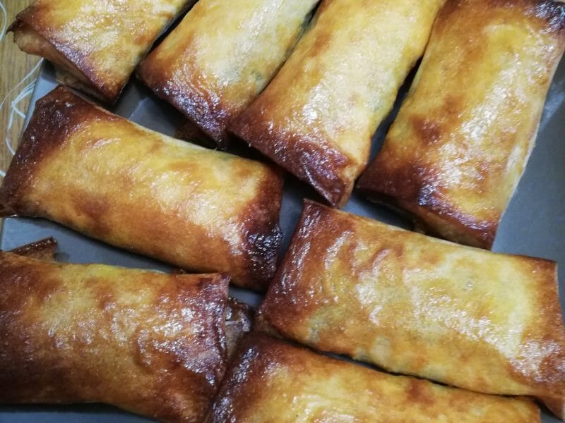 Cliquez pour zoomer ! Brick de saumon et poireaux Thermomix par CynthiaH