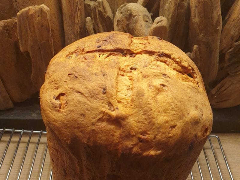 Cliquez pour zoomer ! Panettone Thermomix par La main à la Pat
