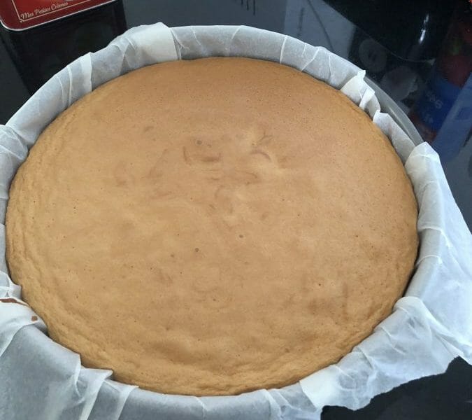 Cliquez pour zoomer ! Fraisier Thermomix par kinderchurprisr