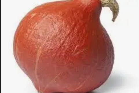 Cliquez pour zoomer ! Photo de orpheus2