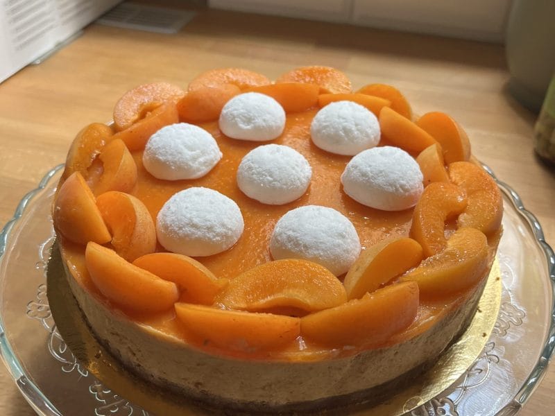 Cliquez pour zoomer ! Bavarois à l’abricot Thermomix par Studyman