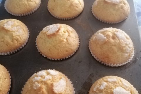 Cliquez pour zoomer ! Magdalenas – Madeleines espagnoles au Thermomix