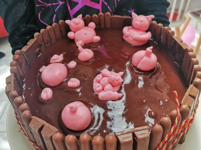 Cliquez pour zoomer ! La mare aux cochons Thermomix par Alice27