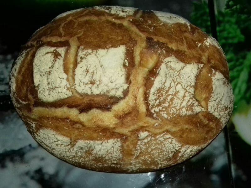 Cliquez pour zoomer ! Pain Cocotte Thermomix par MaryS