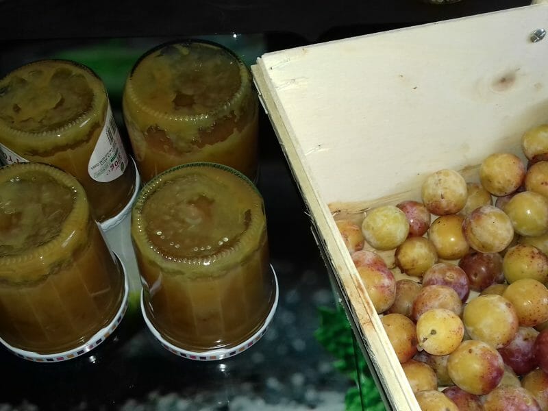 Cliquez pour zoomer ! Confiture de mirabelles Thermomix par MaryS