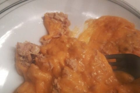 Cliquez pour zoomer ! Parmentier de dinde au curry Thermomix par Audray