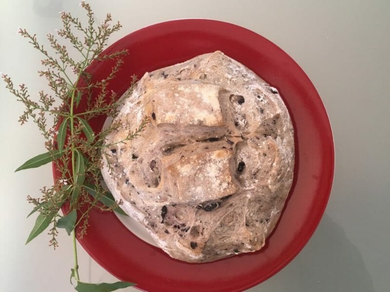 Cliquez pour zoomer ! Miche de pain Thermomix par Carpediem