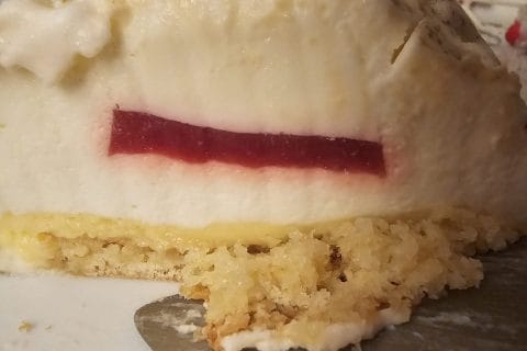 Cliquez pour zoomer ! Bûche citron et framboises Thermomix par vicky59223