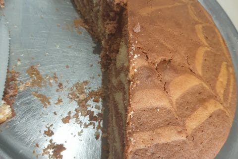 Cliquez pour zoomer ! Gâteau zébré Thermomix par Nelmason