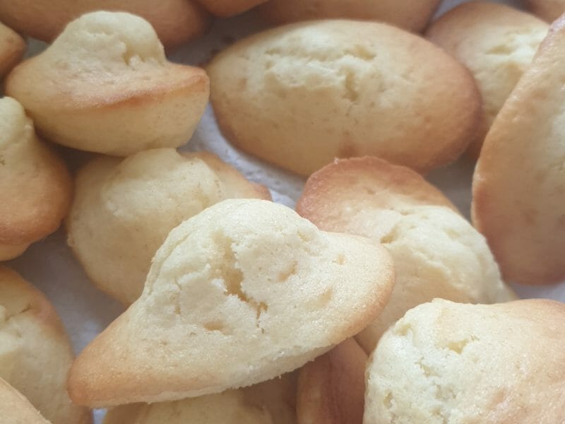 Cliquez pour zoomer ! Madeleines Thermomix par Nelmason